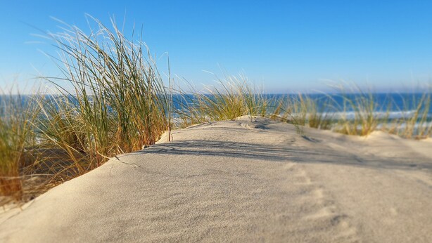 A sandy path leading to the ocean, surrounded by grass.