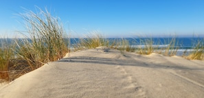 A sandy path leading to the ocean, surrounded by grass.