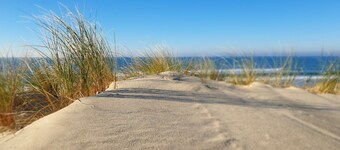 Villa Pin Metche 3 stars