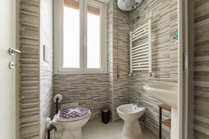 Shower, hair dryer, bidet, towels