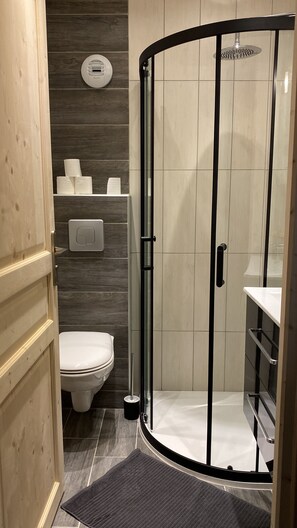 Dusche, Haartrockner, Handtücher, Seife