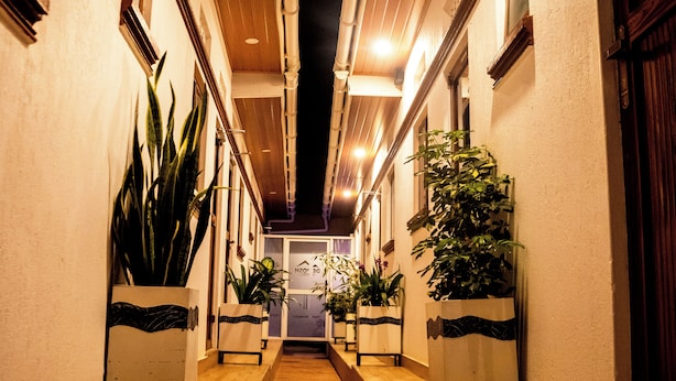 Een smalle gang met potplanten aan weerszijden, die uitkomt bij een deur aan het einde.