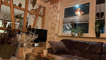 Fernseher, Kamin, DVD-Player, Bücher