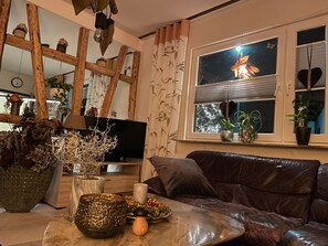 Fernseher, Kamin, DVD-Player, Bücher