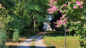 A pathway leading to a building surrounded by lush greenery and flowering trees.