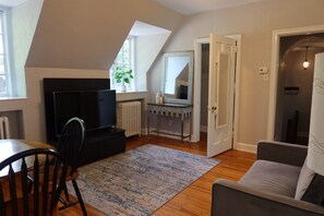 A living room with a television, a dining table, and a sofa. There is a window with a plant, a radiator, and a mirror on a dresser.
