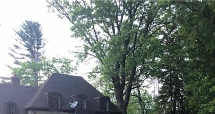 Charming Carriage house apartment in prime location + Free Parking