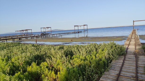 Zona costera con un muelle de madera que se adentra en el agua, rodeada de abundante vegetación verde.