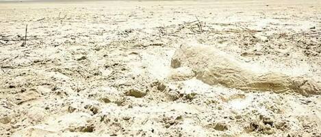 在海灘附近、躺椅、沙灘巾