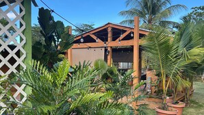 Une structure en bois dotée d’un toit en pente, entourée d’une végétation luxuriante et de plantes en pot.