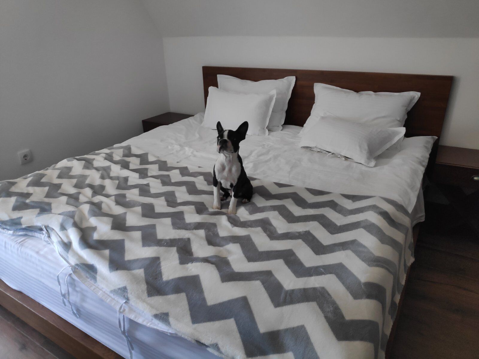 A bed with a chevron-patterned blanket, a wooden headboard, and two white pillows.