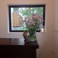 Una ventana con vista a un edificio y árboles, un florero con flores y una pequeña figurina sobre una superficie oscura.