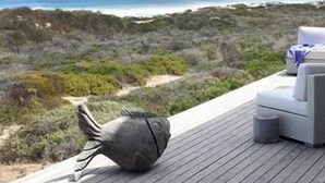 A wooden deck with a view of the beach and ocean. - Seehuis (Yzerfontein)