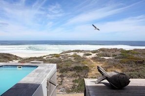 Outdoor pool - Seehuis (Yzerfontein)