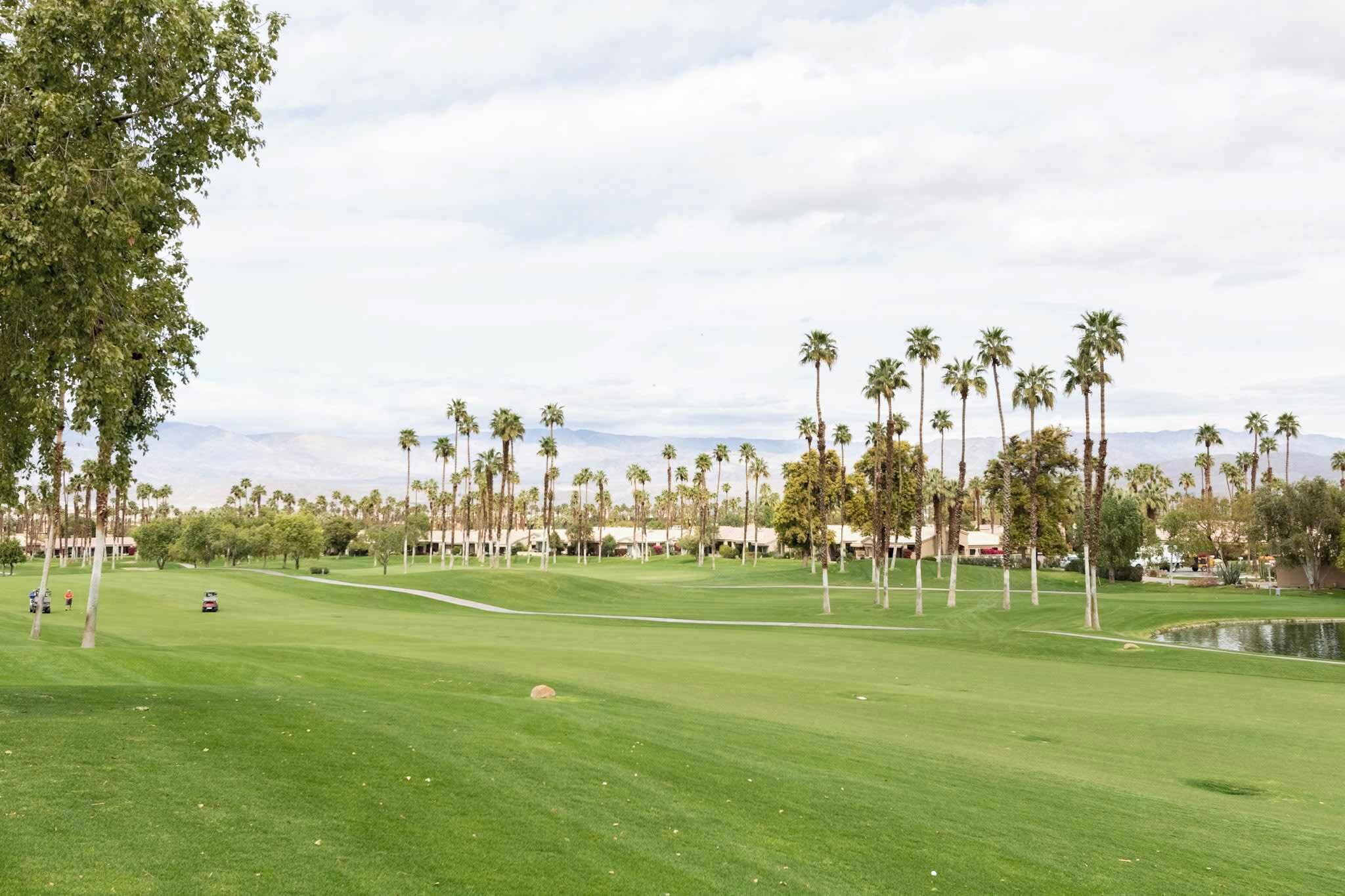 A golf course with a water hazard, palm trees, and distant mountains.