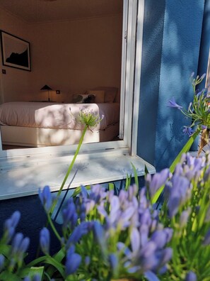 5 bedrooms, desk, iron/ironing board, travel cot