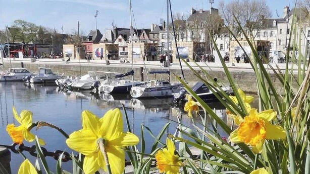 Una marina con imbarcazioni ormeggiate, una passeggiata sul lungomare e edifici sullo sfondo.