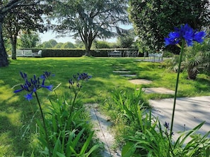 Un jardín con sendero empedrado, césped verde y flores azules.