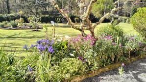 Un jardín con diversas plantas y flores, césped y un camino de grava.