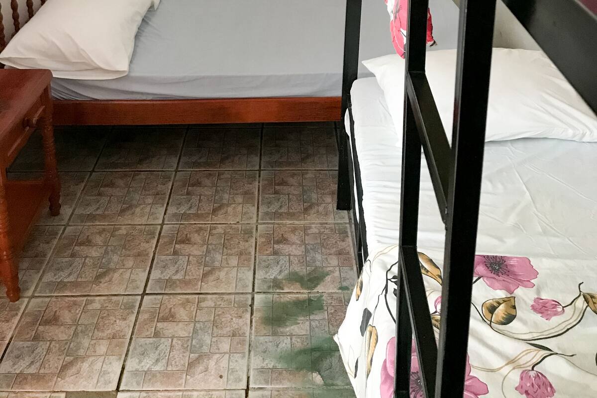 Basic Apartment