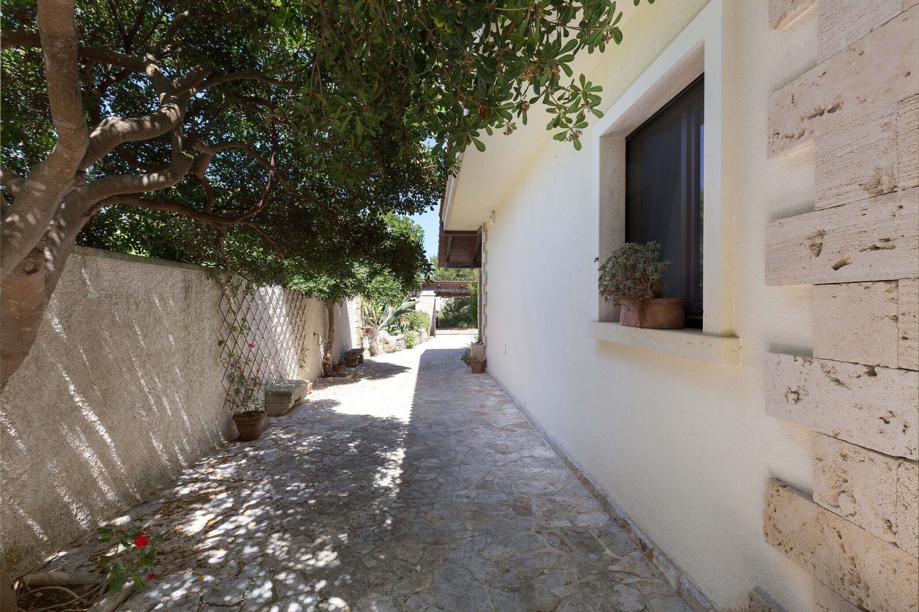 A narrow stone-paved alleyway with a tree on the left and a building on the right.