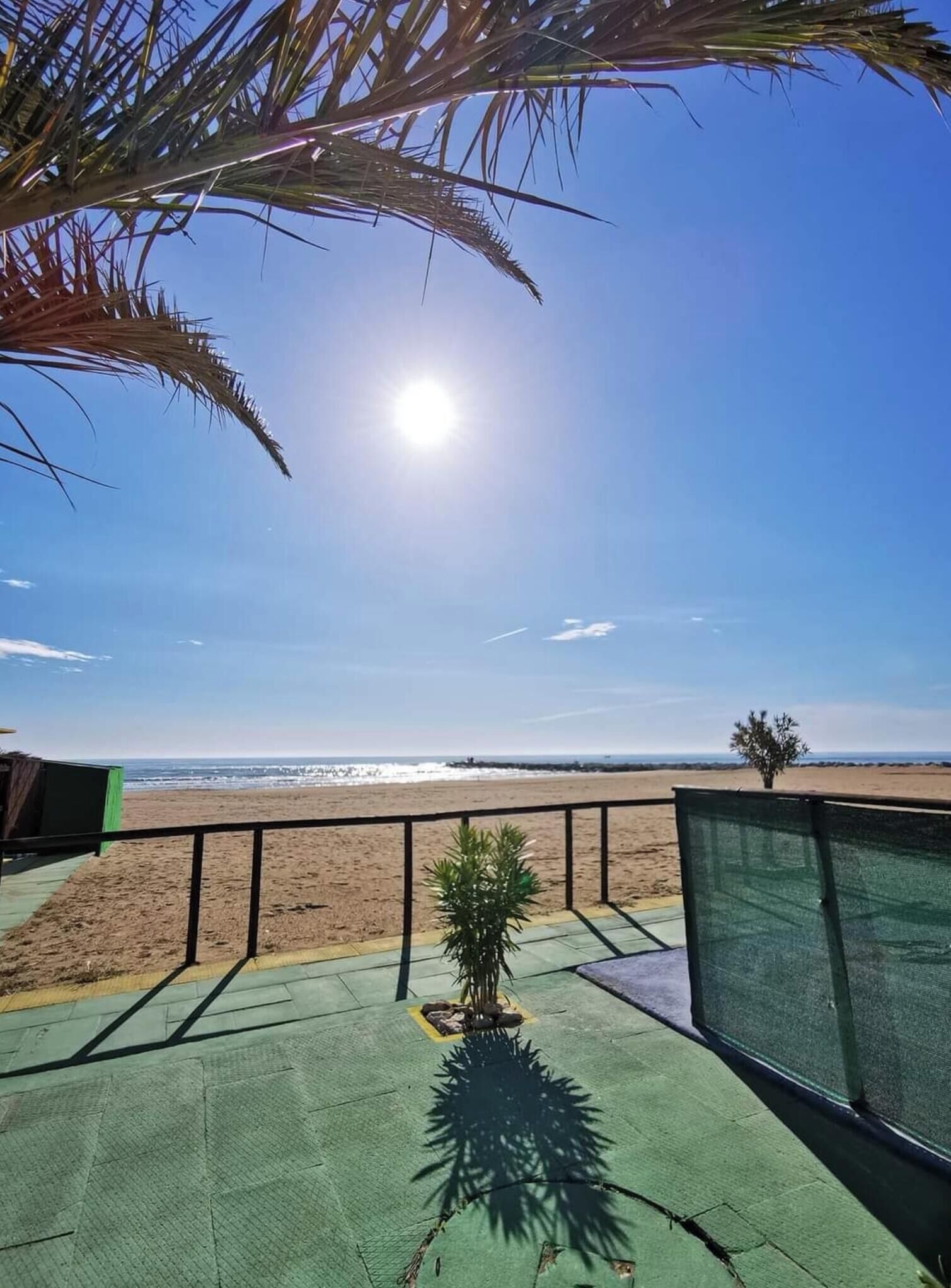 Blick auf einen Strand mit einer Palme, einer kleinen Pflanze und einem Metallgeländer.