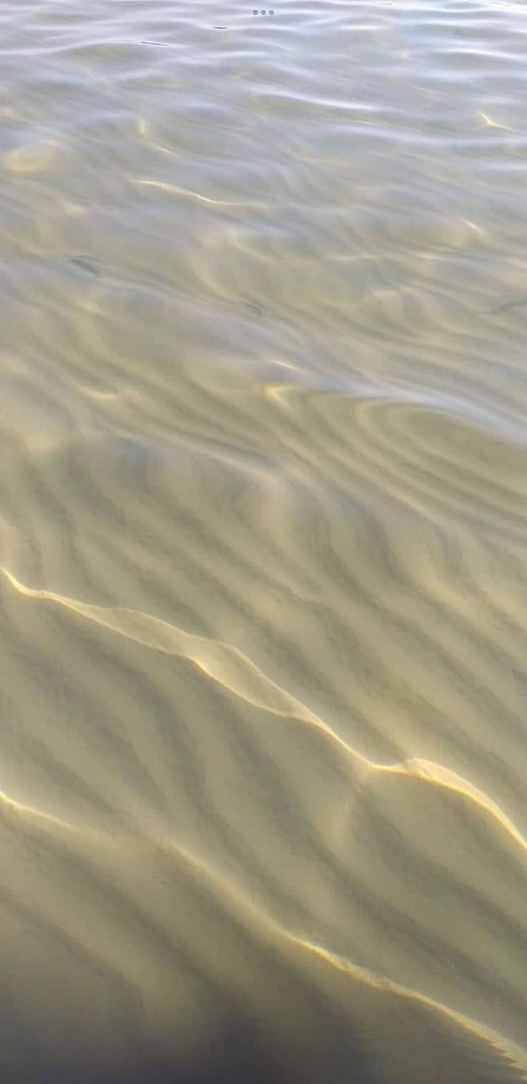 A close-up of a water surface with ripples and reflections.
