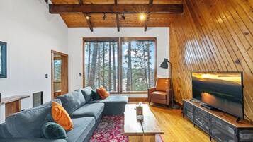 Smart TV, fireplace, video games, DVD player