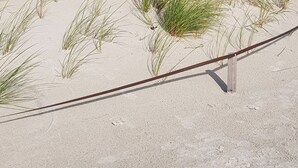 A sandy beach with green vegetation and a wooden fence.