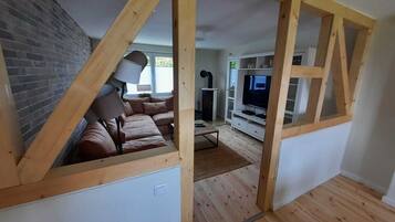 Smart TV, fireplace, DVD player, books