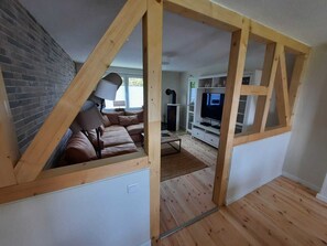 TV connectée, cheminée, lecteur de DVD, livres