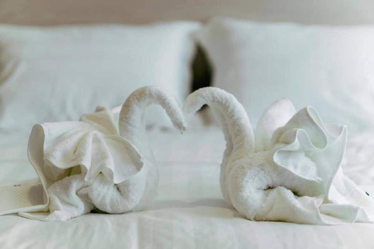 A bed with white linens and two swan-shaped pillows.