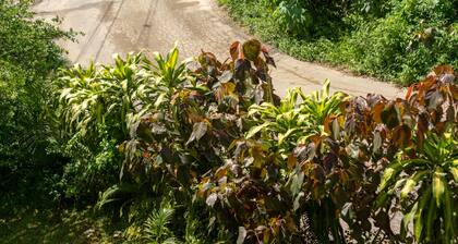 Homestay (Countryside)