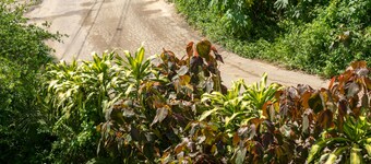 Homestay (Countryside)