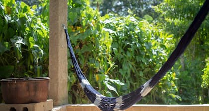 Homestay (Countryside)