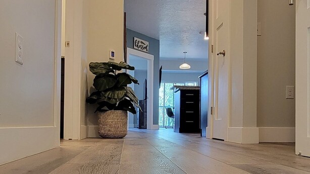 Un couloir avec un plancher en bois clair, une plante en pot et un panneau accroché au mur.