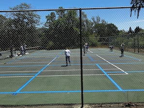Sport court - Serene Historic Cabin, Nine Acre Estate, Just Off I-5 (Gold Hill)