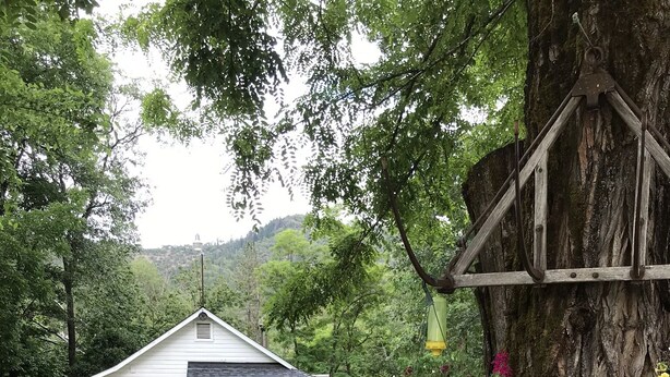 Een wit huis met een veranda, twee Adirondack-stoelen, een boom met bloeiende bloemen en een vogelhuis.