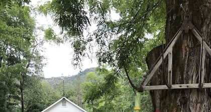 Serene Historic Cabin, Nine Acre Estate, Just Off I-5