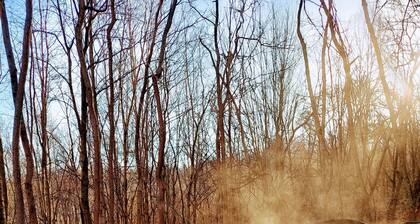 Walk to State Park trails! Modern cabin surrounded by woods + hot tub + firepit