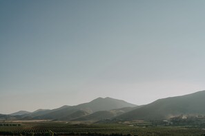 Pemandangan dari properti