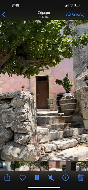A stone staircase leading to a wooden door, surrounded by greenery and a pink wall.