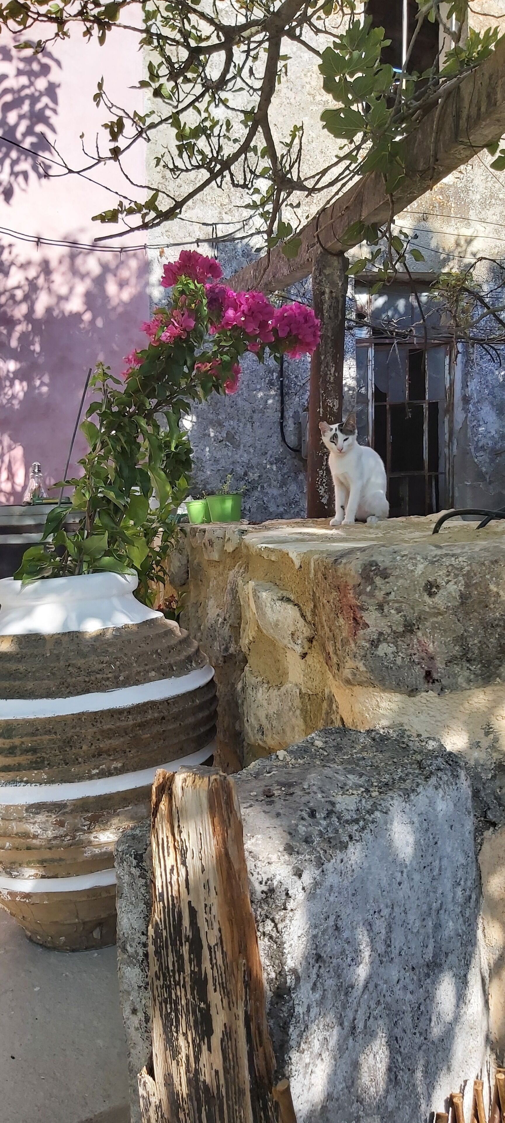 Details aan de buitenkant