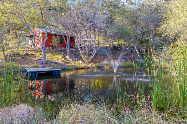 Àrea exterior de l'allotjament