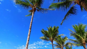 Trên bãi biển, cát trắng