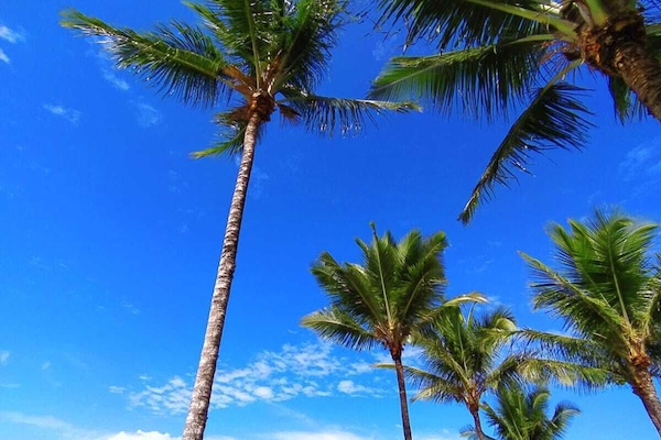On the beach, white sand