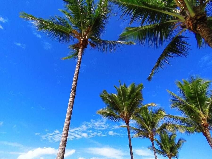 On the beach, white sand