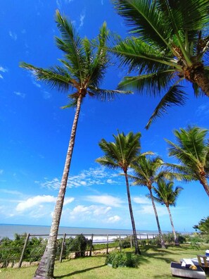 A tropical setting with palm trees and a view of the ocean.