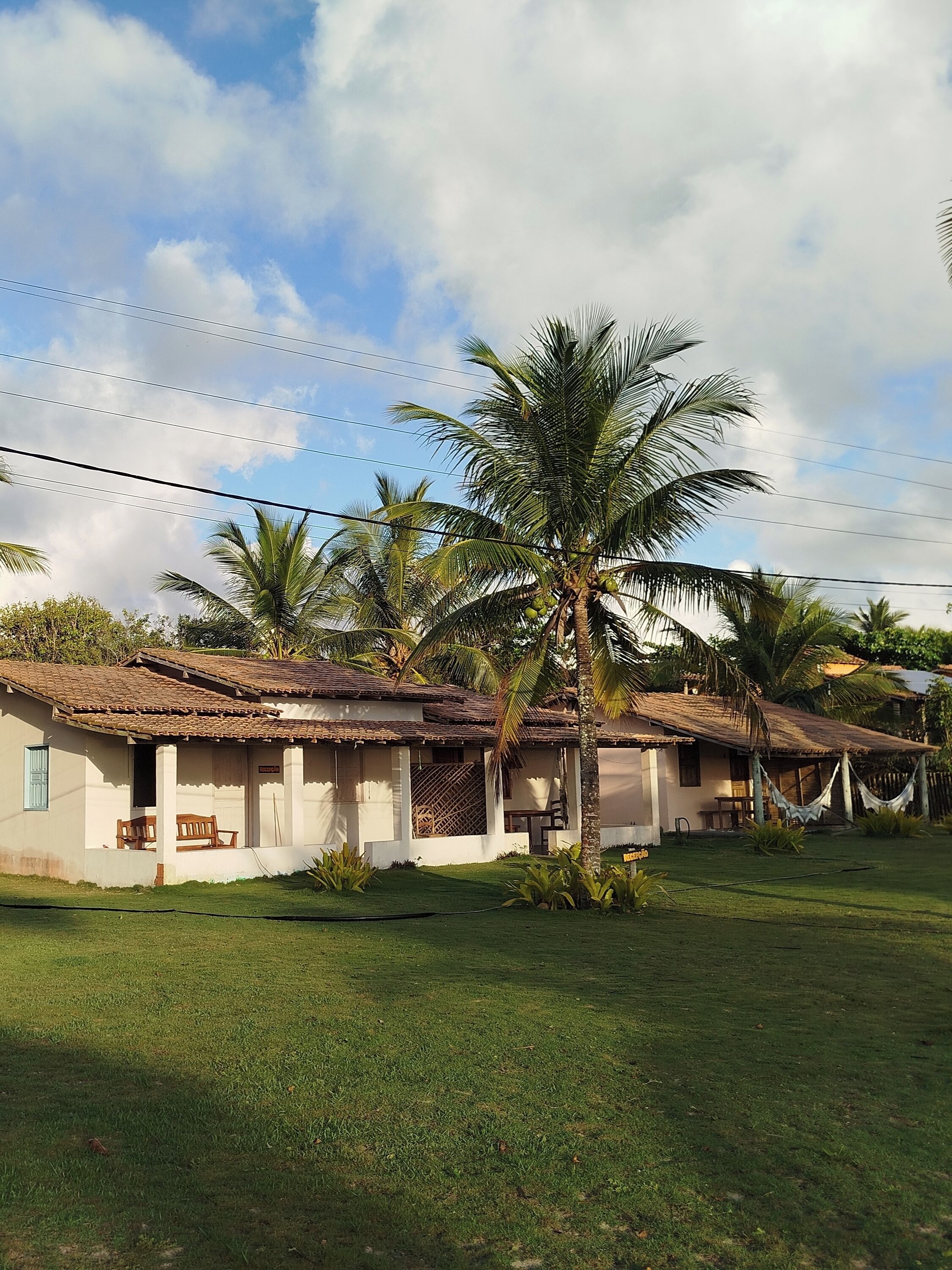 A row of single-story houses with tiled roofs, surrounded by well-maintained lawns and palm trees.