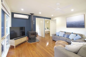 Smart TV, fireplace, DVD player, books